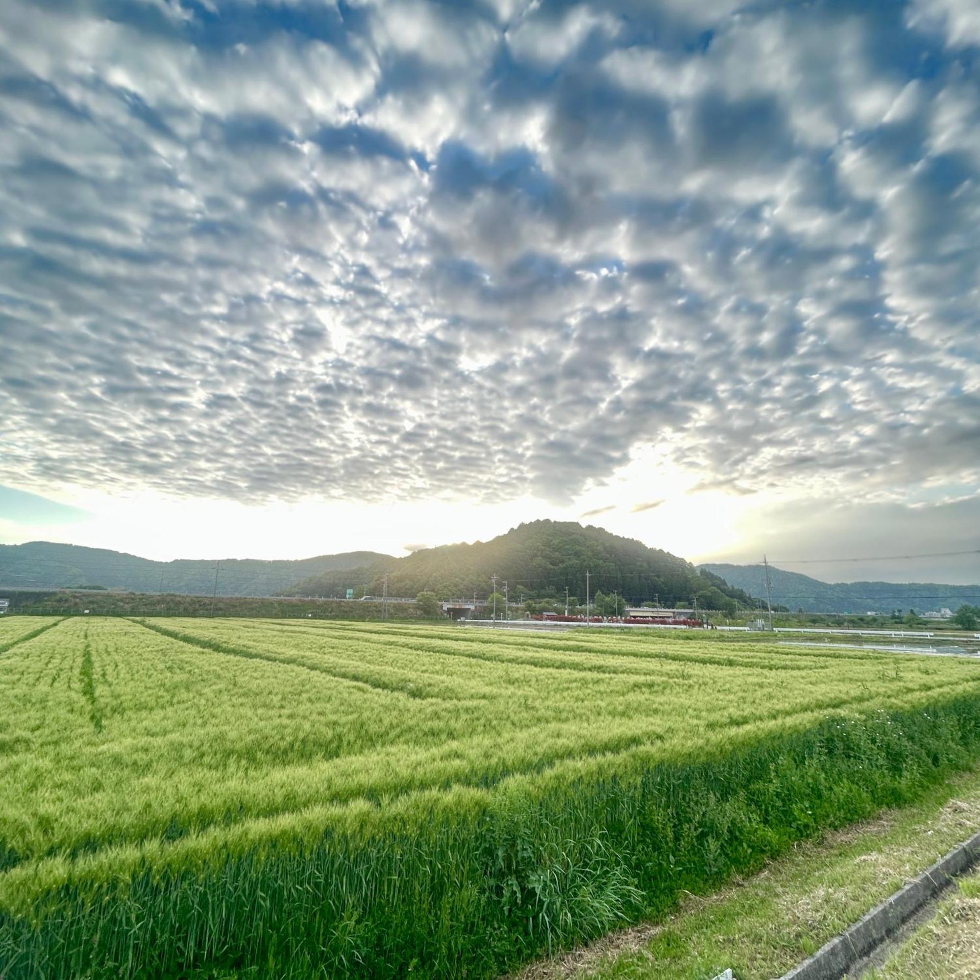 湖北 寺の宿-去-来-現ko-Rai-Gen Nagahama  Exteriér fotografie